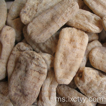 Gastrodia elata Blume baik